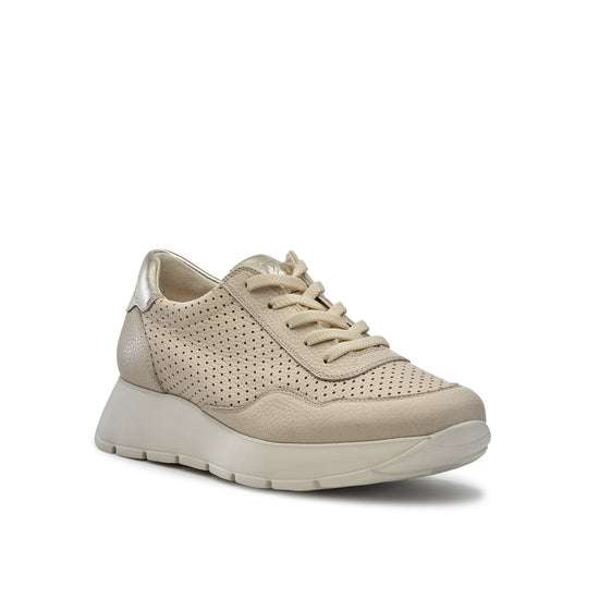 Apollo Sneaker Sneaker Paul Green Shoes