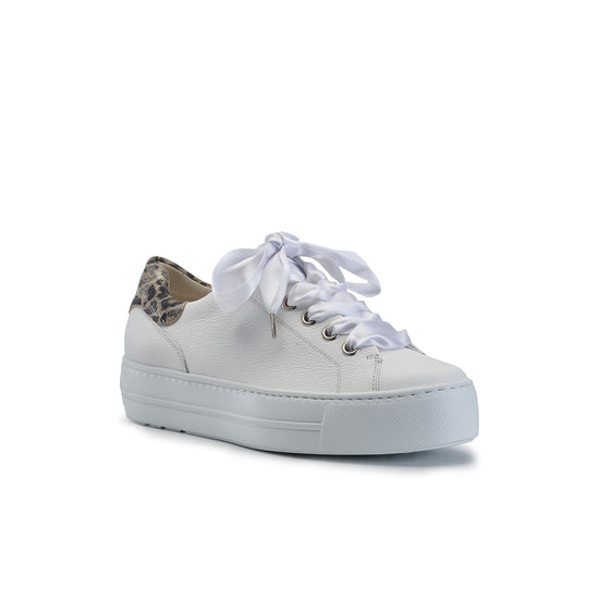 Blakely Sport Sneaker Sneaker Paul Green Shoes