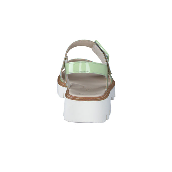 Tasha Sandal Sandal Paul Green Shoes