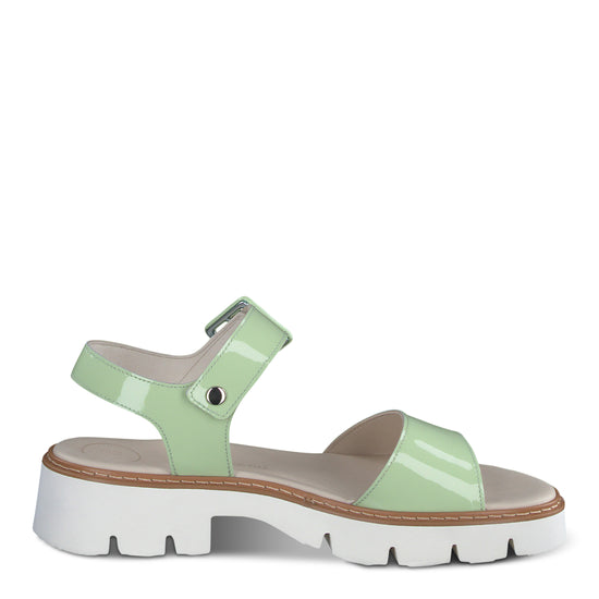 Tasha Sandal Sandal Paul Green Shoes