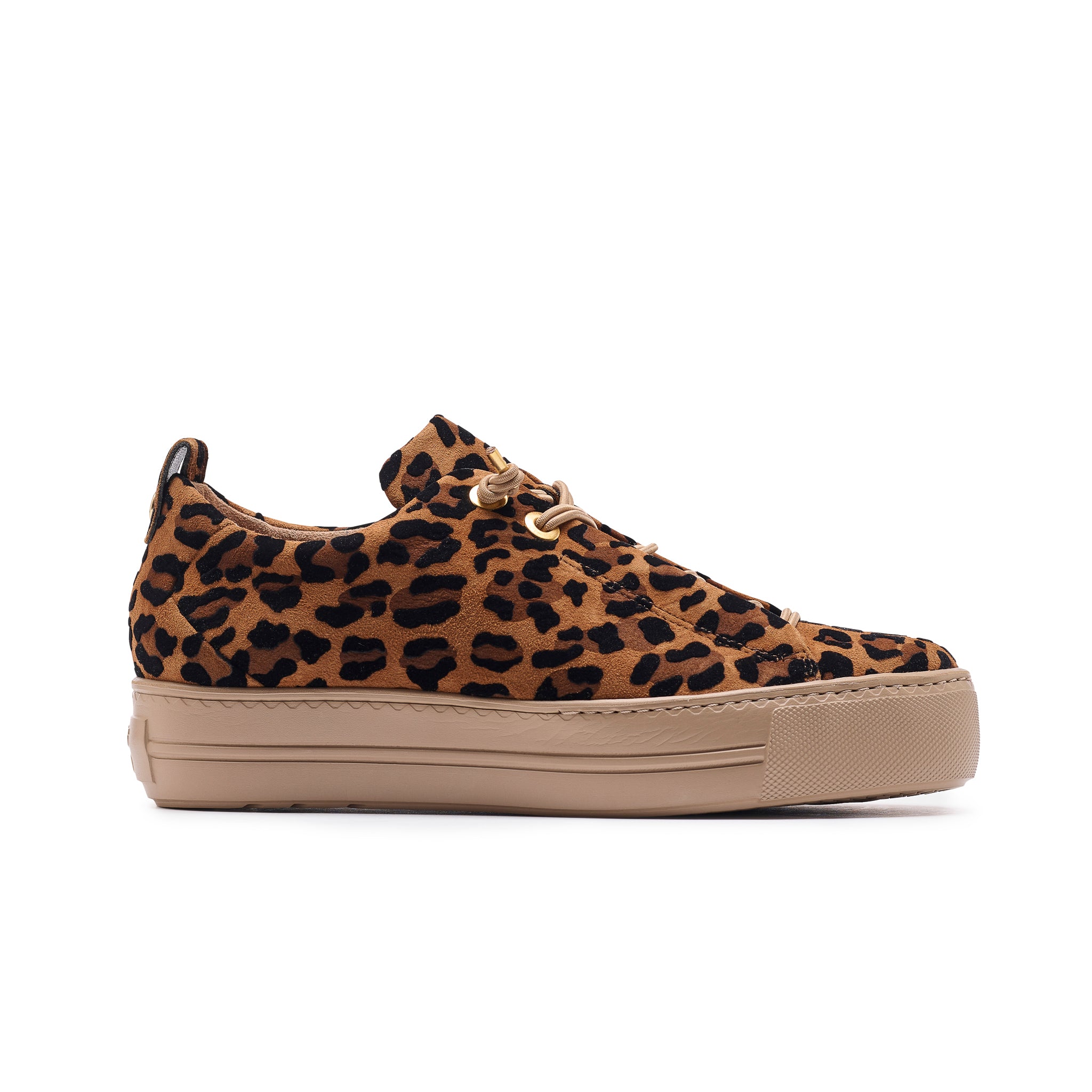 その他 APOLLO GAL LEOPARD ver Zena Sneaker – Paulgreenshoes.com