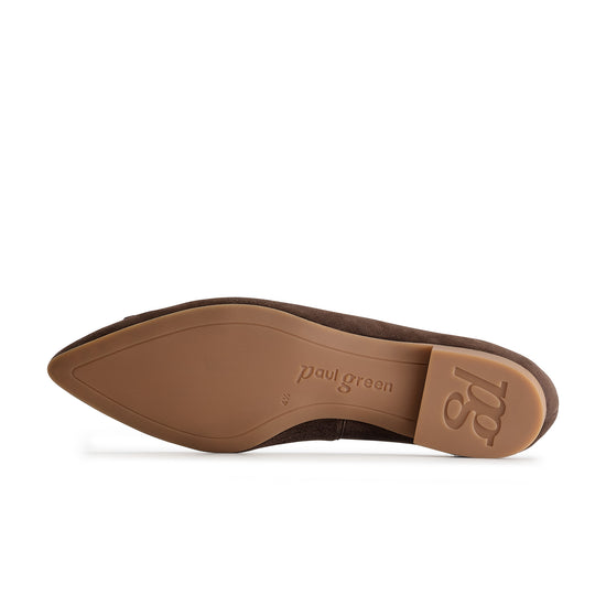 Teddy Flat