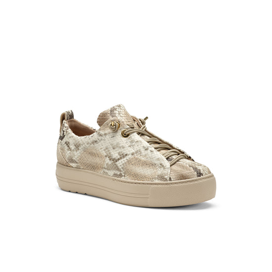 Womens Boa Biscuit Antic Sneaker- Paul Green Shoes Zena Sneaker- 3/4 View view 3