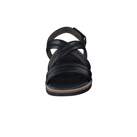 Ronnie Sandal
