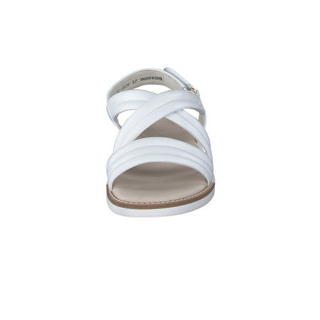 Ronnie Sandal