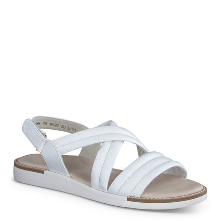 Ronnie Sandal