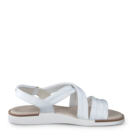 Ronnie Sandal