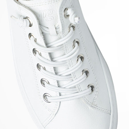 White Hadley Sneaker Laces