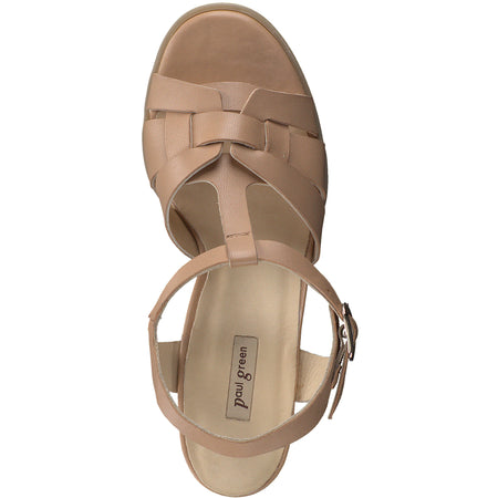 Raven Heel